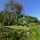 Cornish favourites: Trebah garden