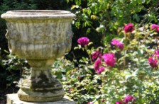 Urn and roses