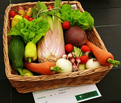 Vegetable basket competition
