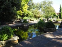Imola Garden Pond